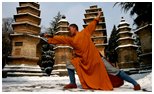 Pagoda Image 2