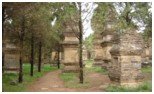 Pagoda Image 4